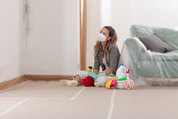 Reliable Mold Testing contractor in Lewisburg, KY by WQB Mold Removal